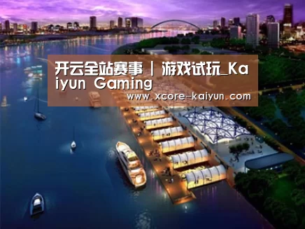 案例展示八