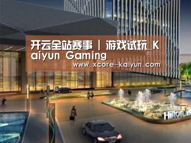 案例展示二