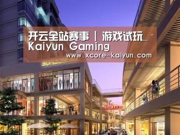 案例展示一