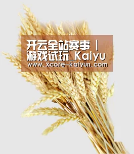 开云全站赛事 | 游戏试玩_Kaiyun Gaming