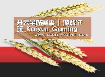 开云全站赛事 | 游戏试玩_Kaiyun Gaming