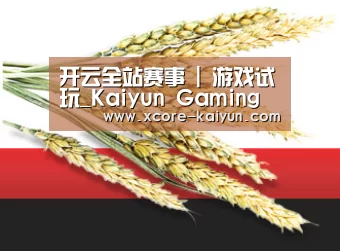 开云全站赛事 | 游戏试玩_Kaiyun Gaming