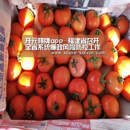 开元棋牌app-福建省召开全省系统廉政风险防控工作推进视频会议(图1) 开云体育服务